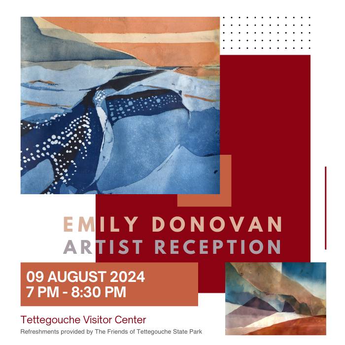 Artist Reception for Emily Donovan