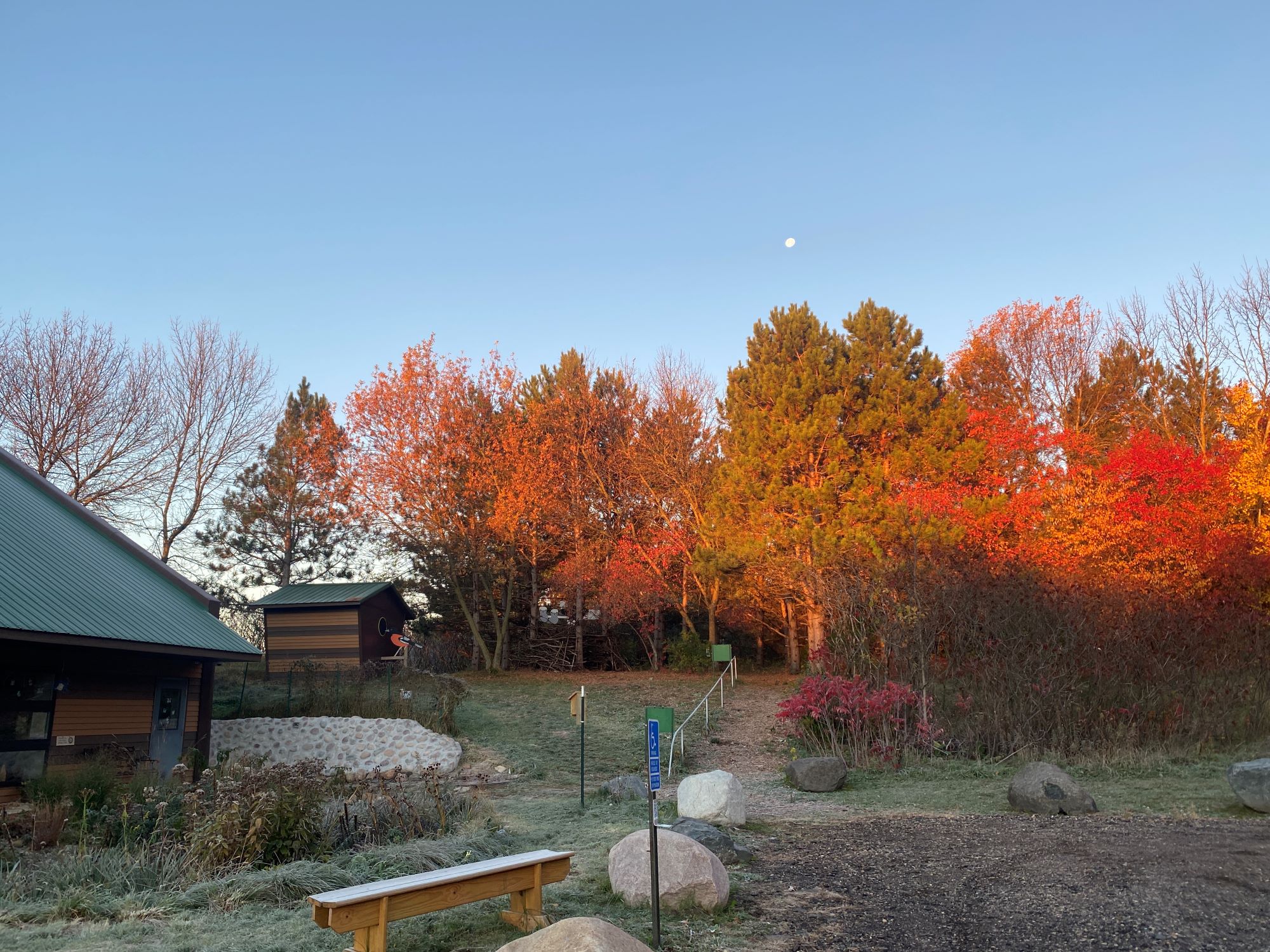 Fall Colors on the Tree Trek