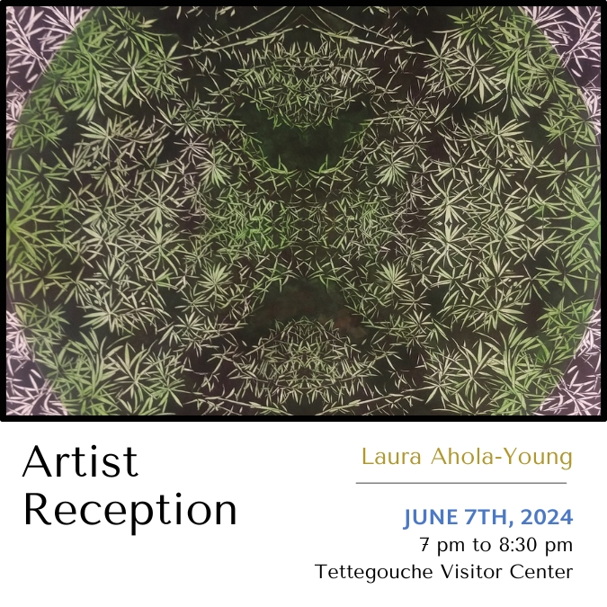Artist Reception for Laura Ahola-Young