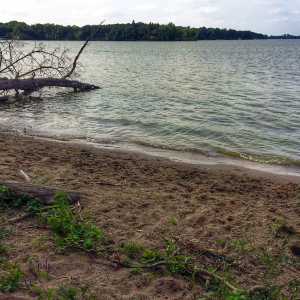 Lake Shetek State Park: Where Minnesota's Wild Side Meets Tranquility